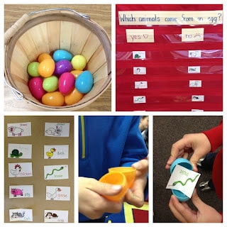 Animal Sorting with Easter Eggs