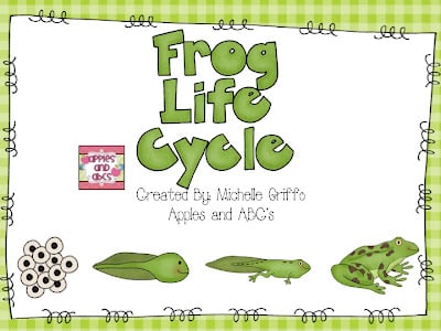 Simple and Complex Life Cycle of a Frog