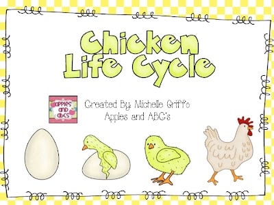 Simple Life Cycle of a Chicken Unit