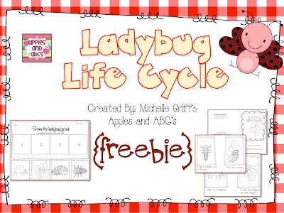 Life Cycle of a Ladybug FREEBIE!